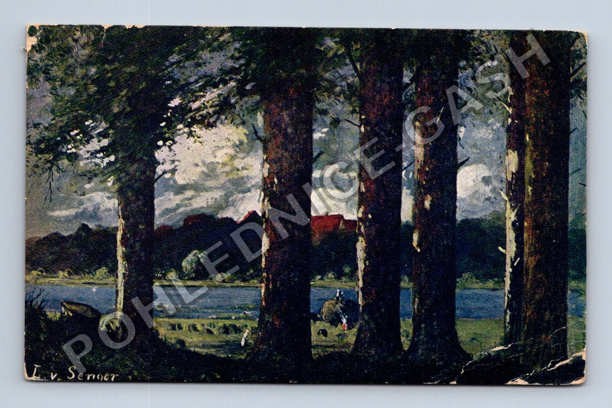 Pohlednice L. V. Senger lesní krajina s řekou (M42881)