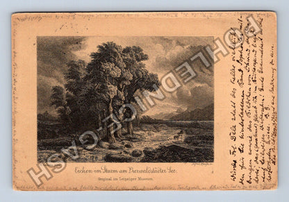 Pohlednice Německo Eichen im Sturm am Pierwaldsteiner See (M42953)