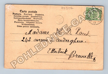 Pohlednice Belgie husy Knut Oeren (M43117)