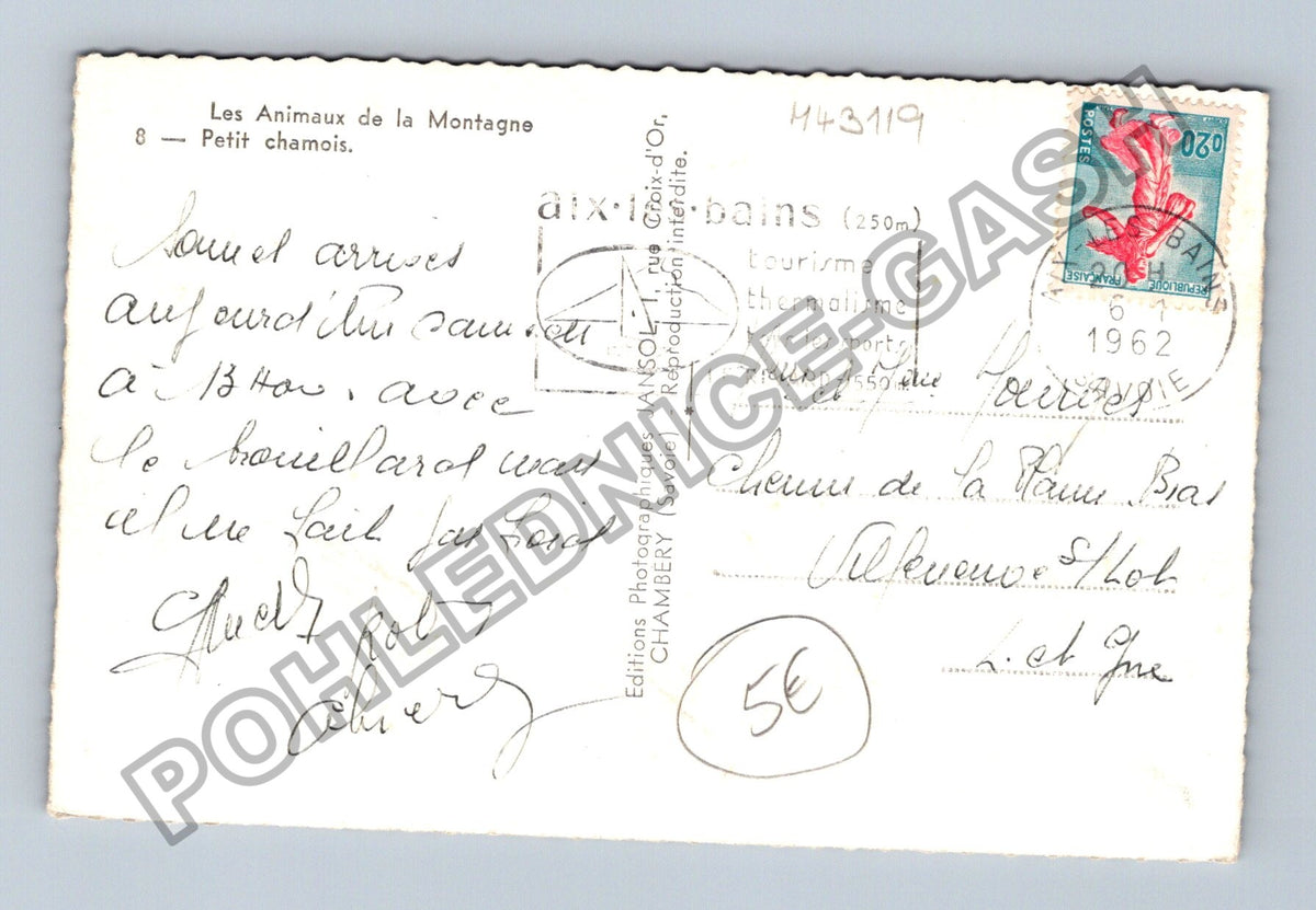 Pohlednice Francie Aix-les-Bains mladý kamzík 1962 (M43119)