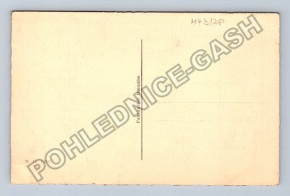 Pohlednice Francie pes špic Aux aguets (M43128)