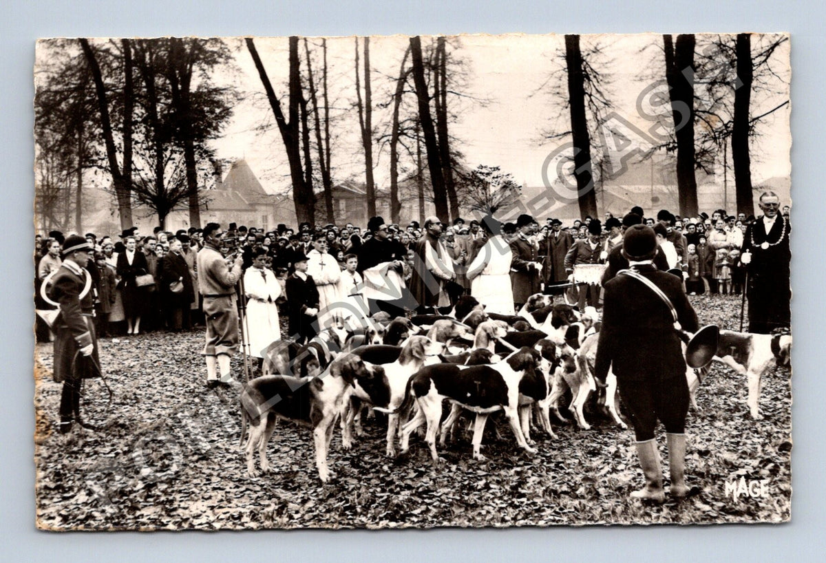 Pohlednice Francie Villers Cotterets lov se psy (M43129)
