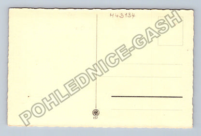 Pohlednice Pes portrét (M43134)