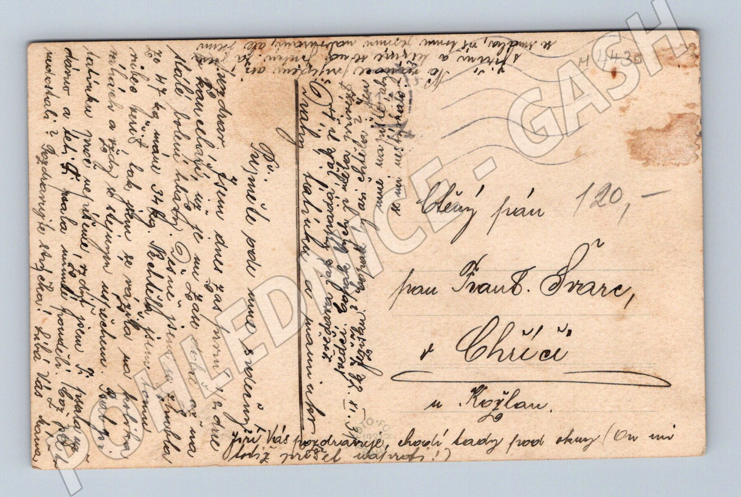 Pohlednice Praha medvědi v Jelením příkopě (M4430)