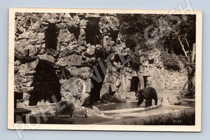 Pohlednice Praha medvědi v Jelením příkopě (M4431)