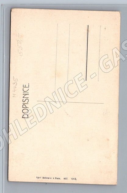 Pohlednice Praha Královské Vinohrady Na Smetance (M4435)