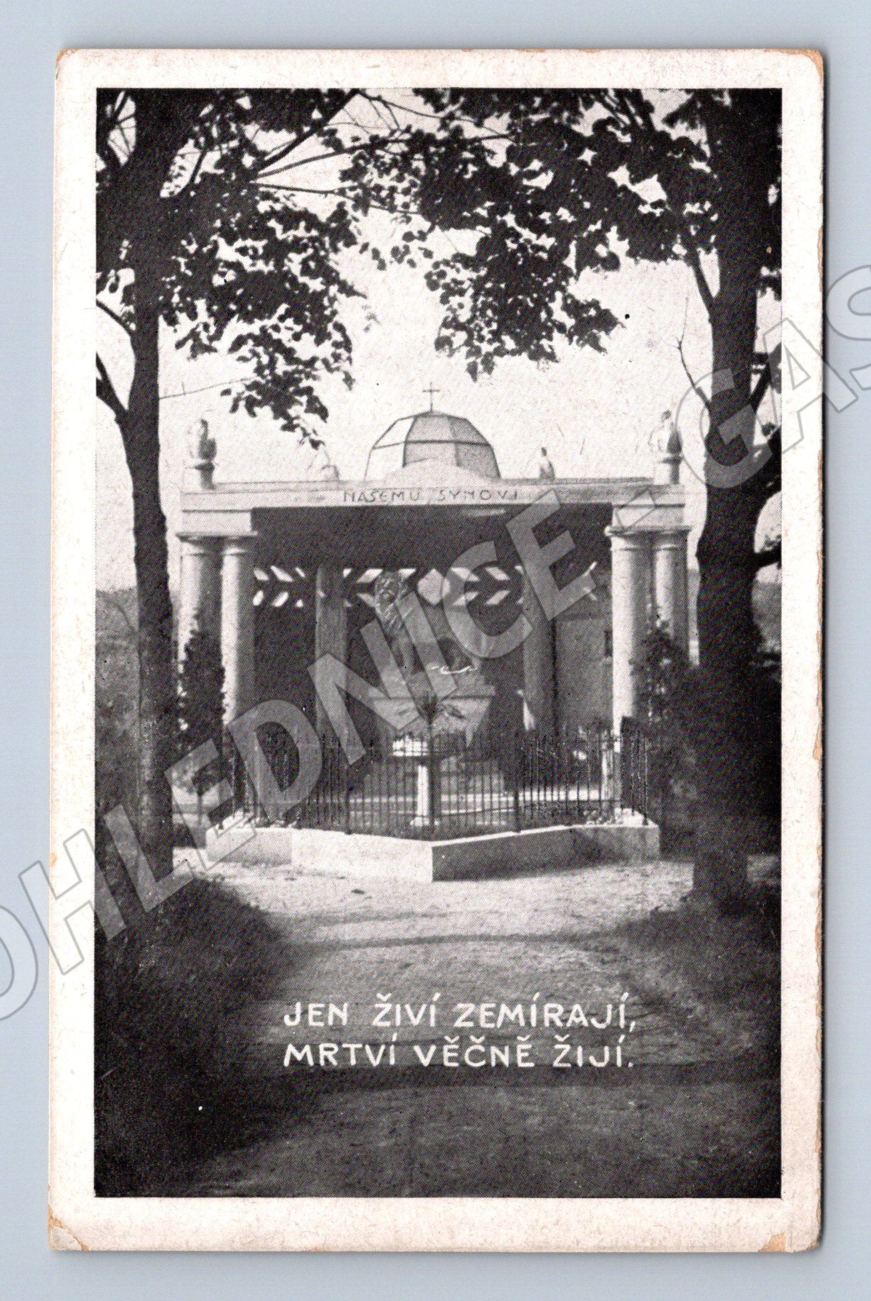 Pohlednice Náhrobek Eduarda Krále Jenišovice (M4442)