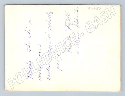 Pohlednice historický hrad sepia (M4460)