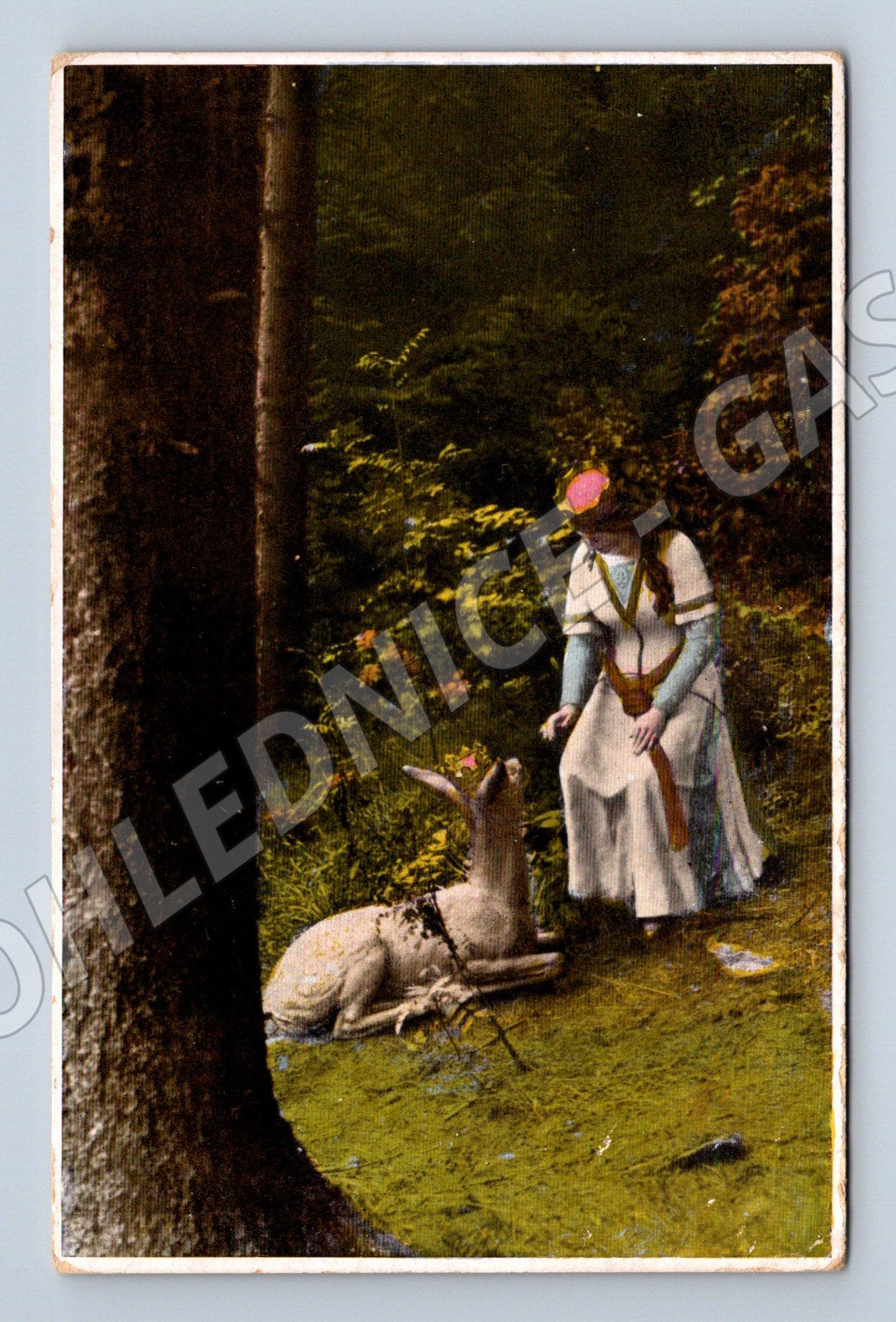 Pohlednice Mariánské Lázně Höhencafé Rübezahl (M4572)