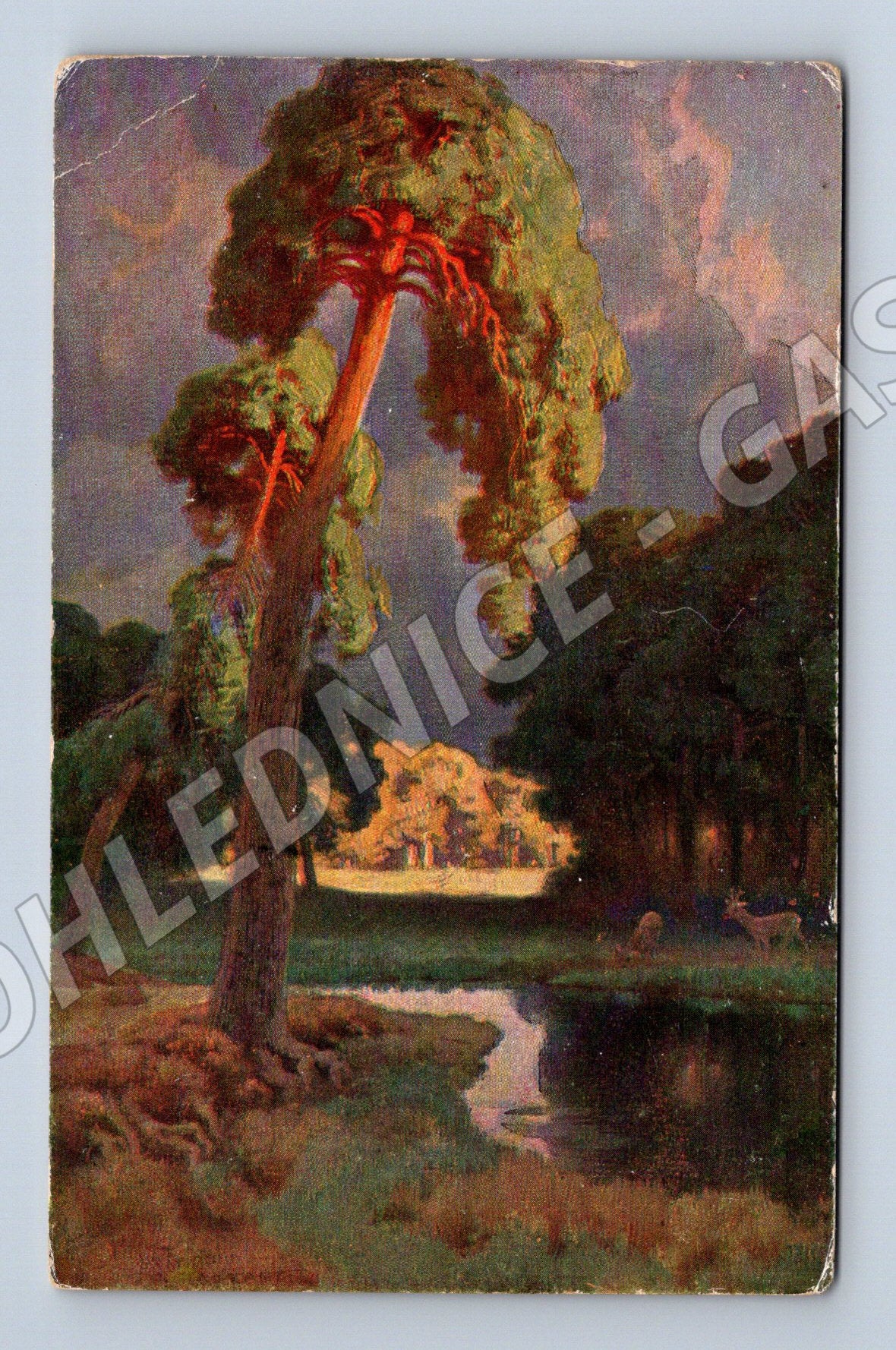 Pohlednice malovaná krajina strom u řeky (M4574)