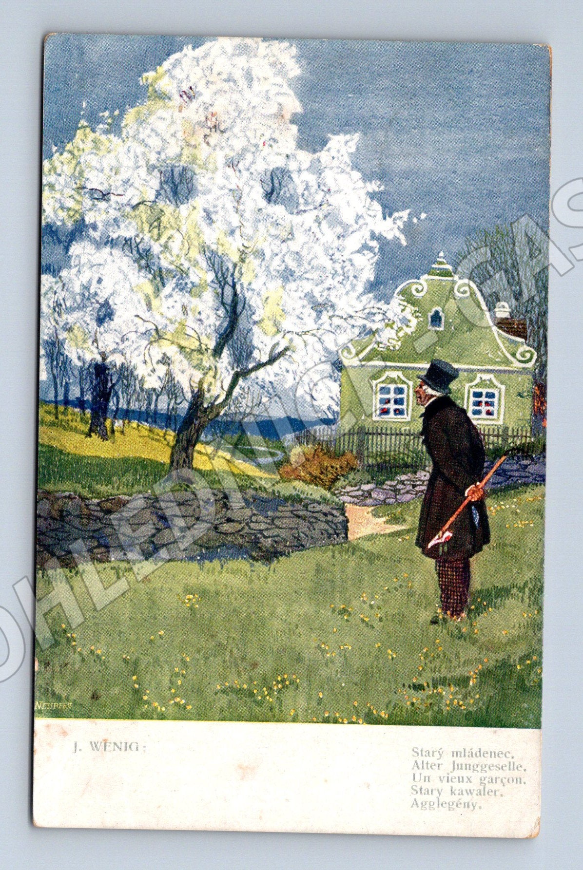 Pohlednice Starý mládenec J Wenig kolorovaná (M4579)