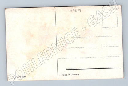 Pohlednice venkovská chalupa malířství (M4591)