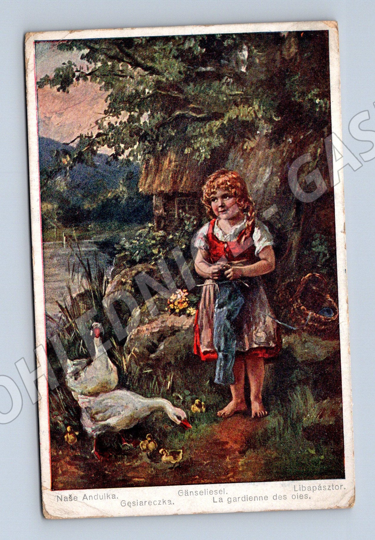 Pohlednice dívka s husou starý motiv (M4603)