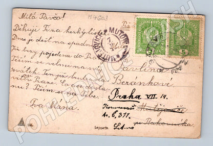 Pohlednice dívka s husou starý motiv (M4603)