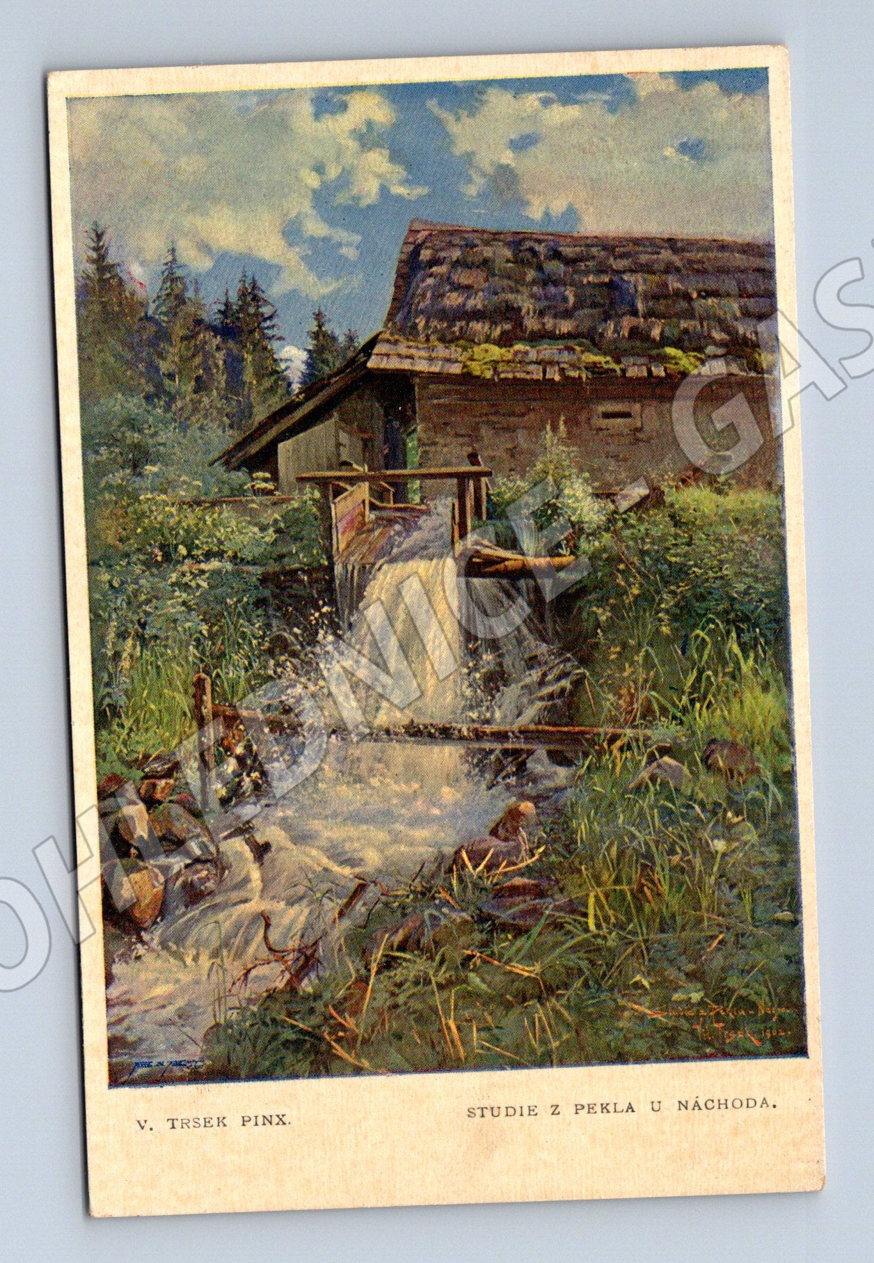 Pohlednice Studie z Pekla u Náchoda Trsek (M4630)