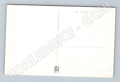 Pohlednice Al Kalvoda lesní krajina (M4647)