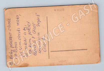 Pohlednice zátiší s ovocem a vázou (M4650)