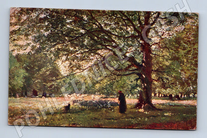 Pohlednice Ovčák T Courtens (M4651)