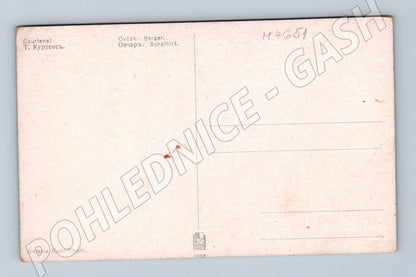 Pohlednice Ovčák T Courtens (M4651)