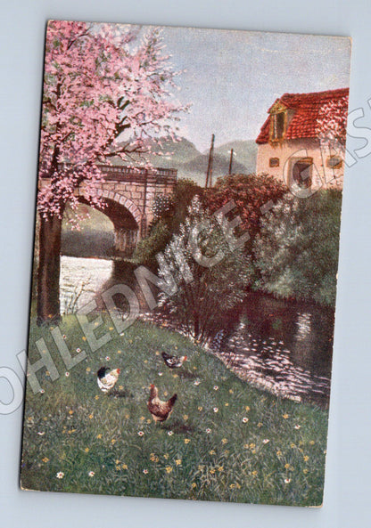 Pohlednice venkovský dvůr slepice (M4656)