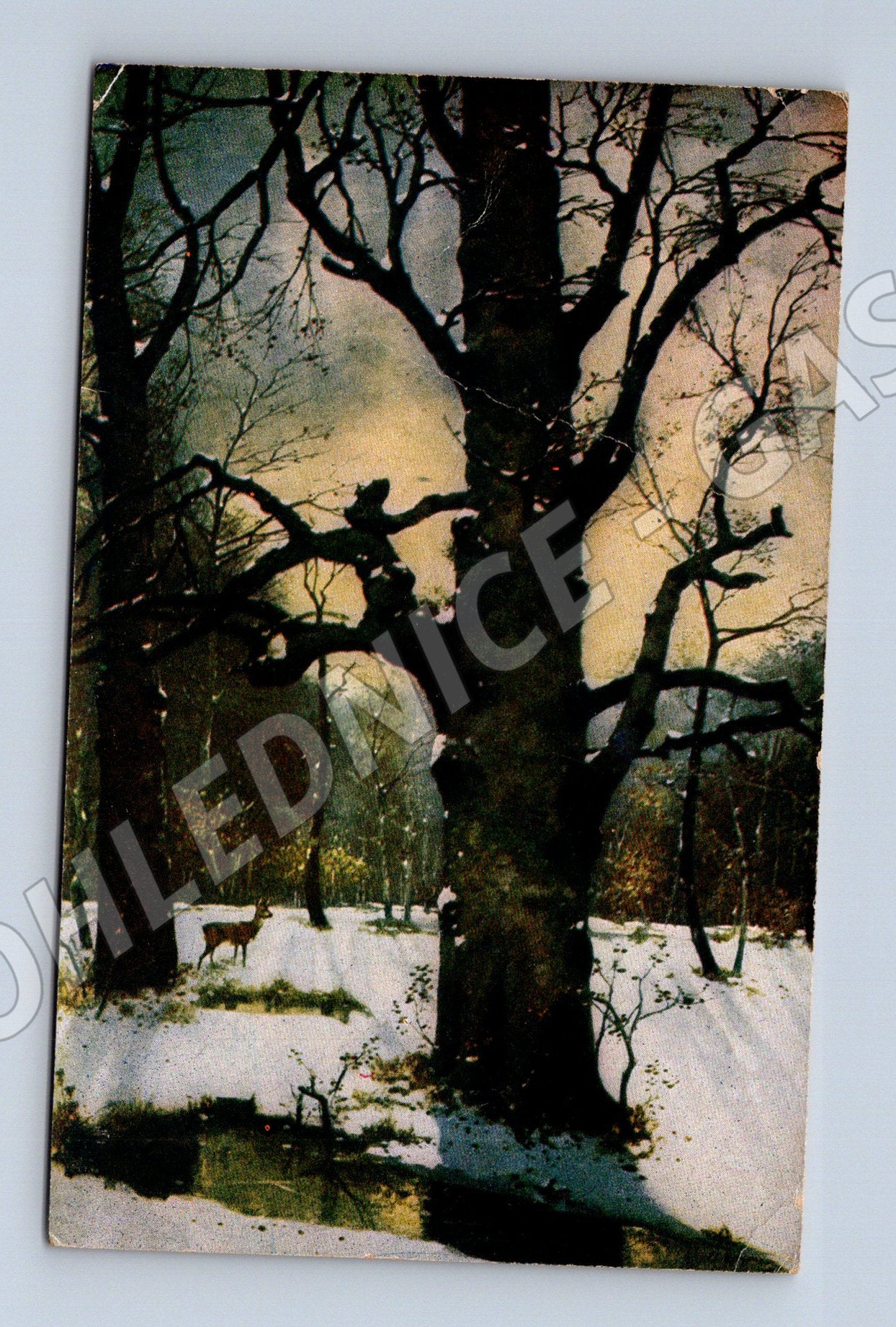 Pohlednice zasněžená krajina ČR (M4670)