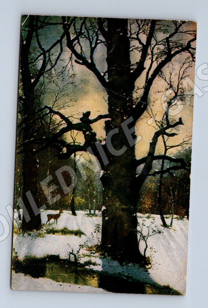 Pohlednice zasněžená krajina ČR (M4670)