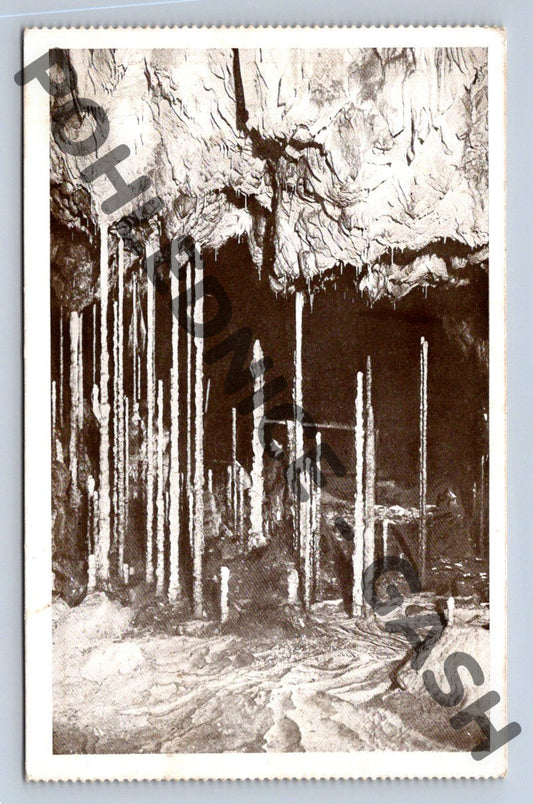 Pohlednice krápníkový lesík jeskyně Kateřinská (M468)