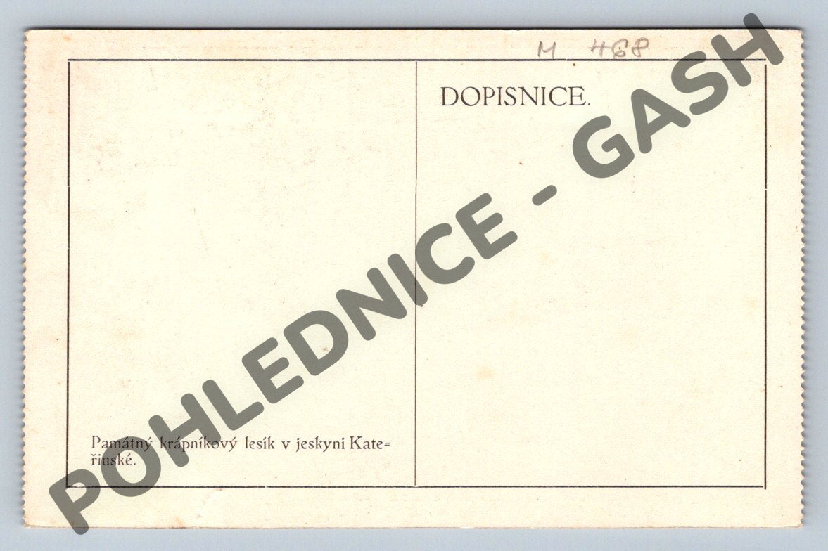 Pohlednice krápníkový lesík jeskyně Kateřinská (M468)