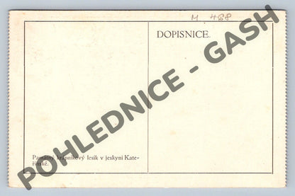 Pohlednice krápníkový lesík jeskyně Kateřinská (M468)