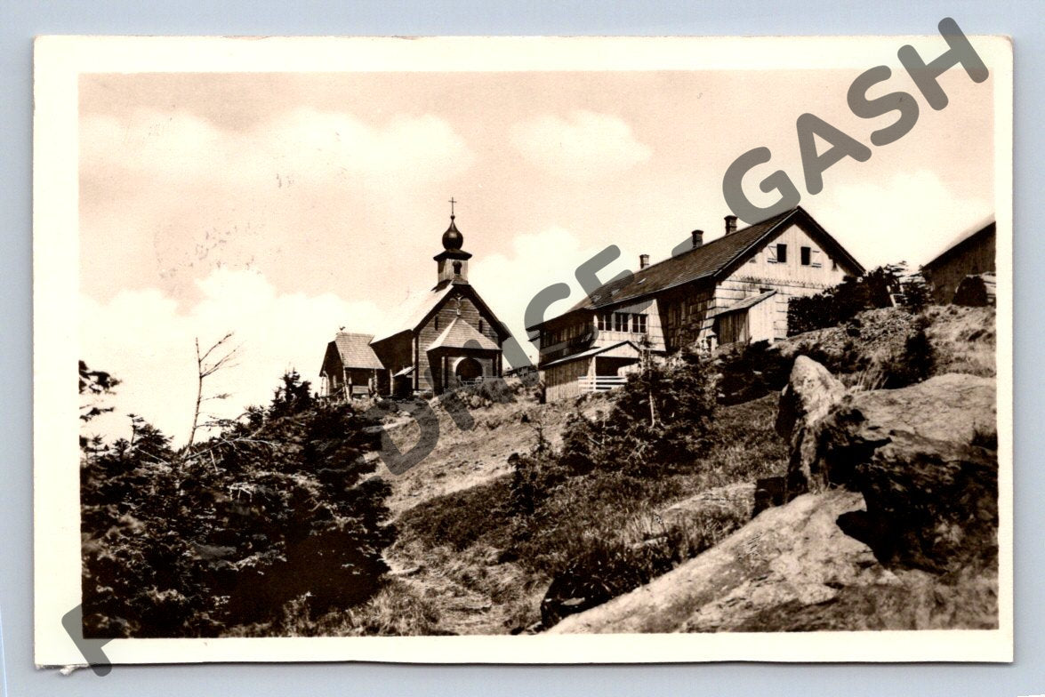 Pohlednice Jeseníky Vřesová studánka 1950 (M469)