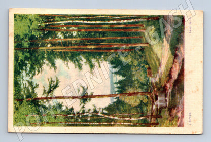 Pohlednice Lesní zákoutí J Šimál (M4696)