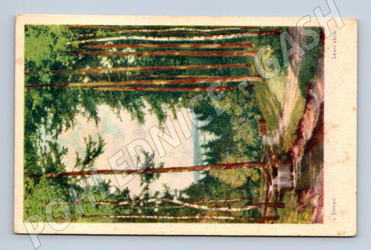 Pohlednice Lesní zákoutí J Šimál (M4696)