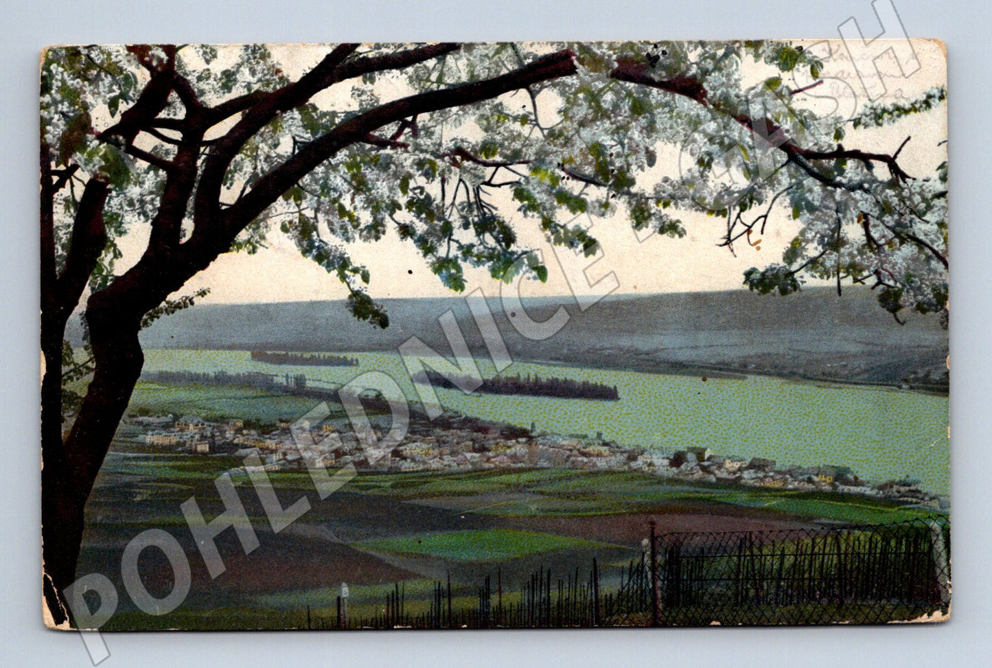 Postcard Austria panoramic view (M4709)
