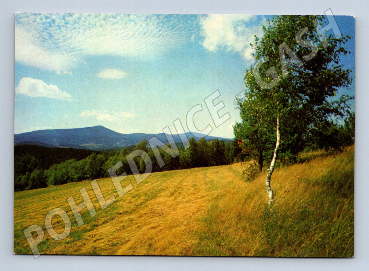 Postcard Czech landscape meadow and forests Orbis (M4779)