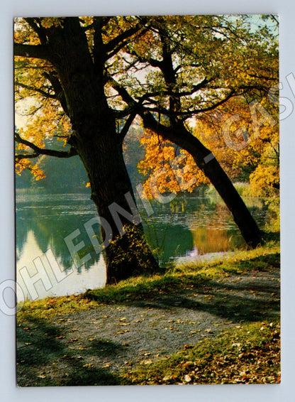 Orbis nature postcard large format (M4780)