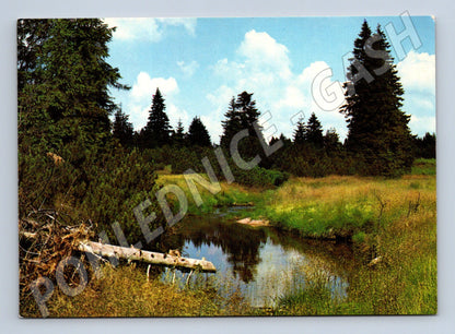 Postcard of Czech nature Orbis large format (M4783)