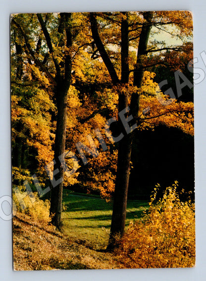 Postcard autumn landscape Orbis Bučina (M4786)