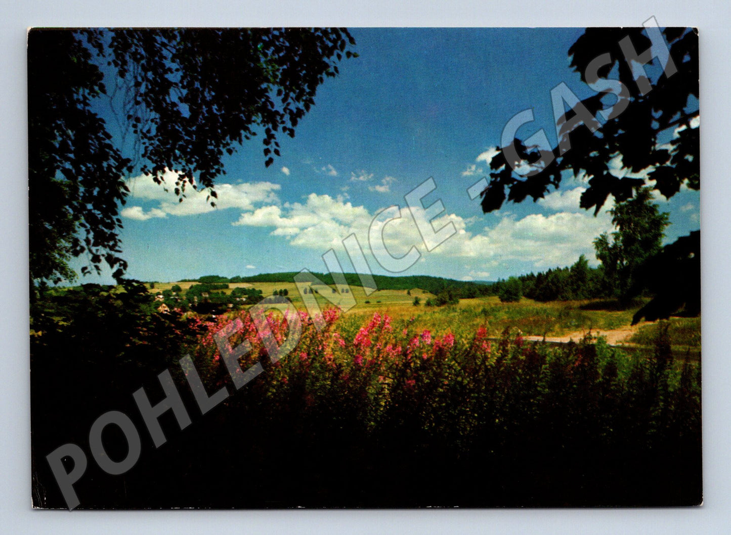 Postcard Czech landscape Sekal Orbis (M4787)