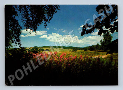 Postcard Czech landscape Sekal Orbis (M4787)