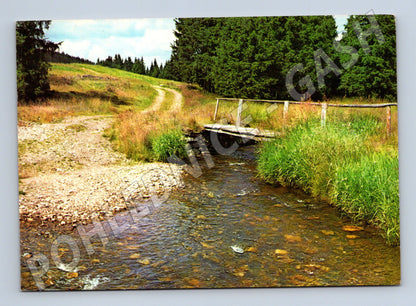 Postcard wooden bridge over the Orbis stream (M4790)