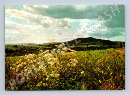 Pohlednice česká krajina Pressfoto Havlíček (M4792)