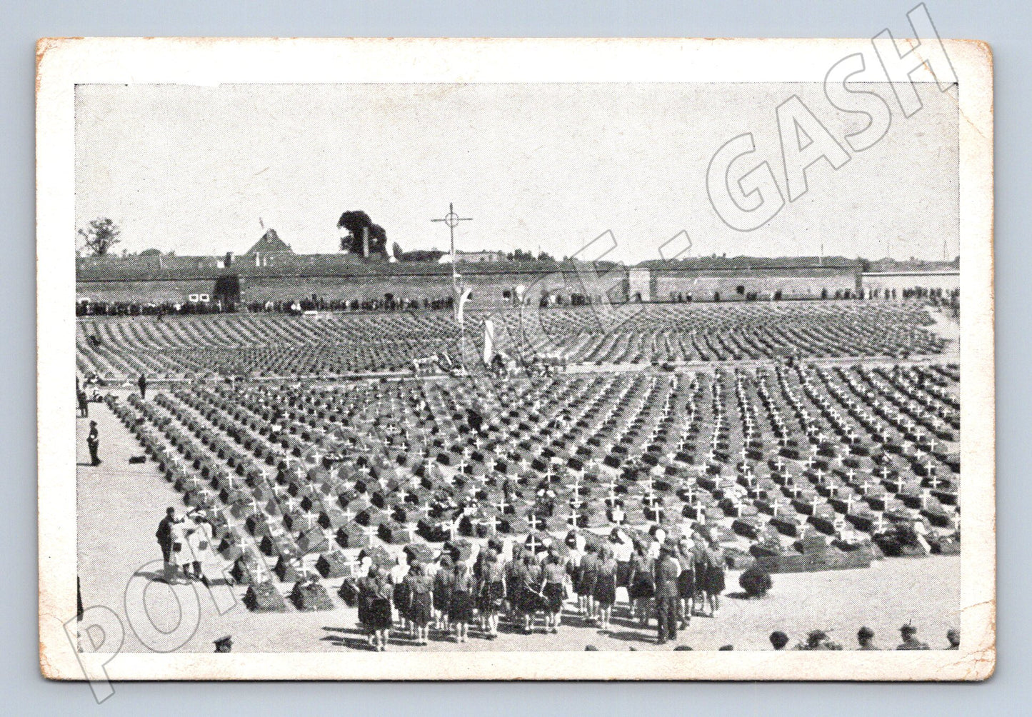 Pohlednice Terezín Národní hřbitov (M4815)