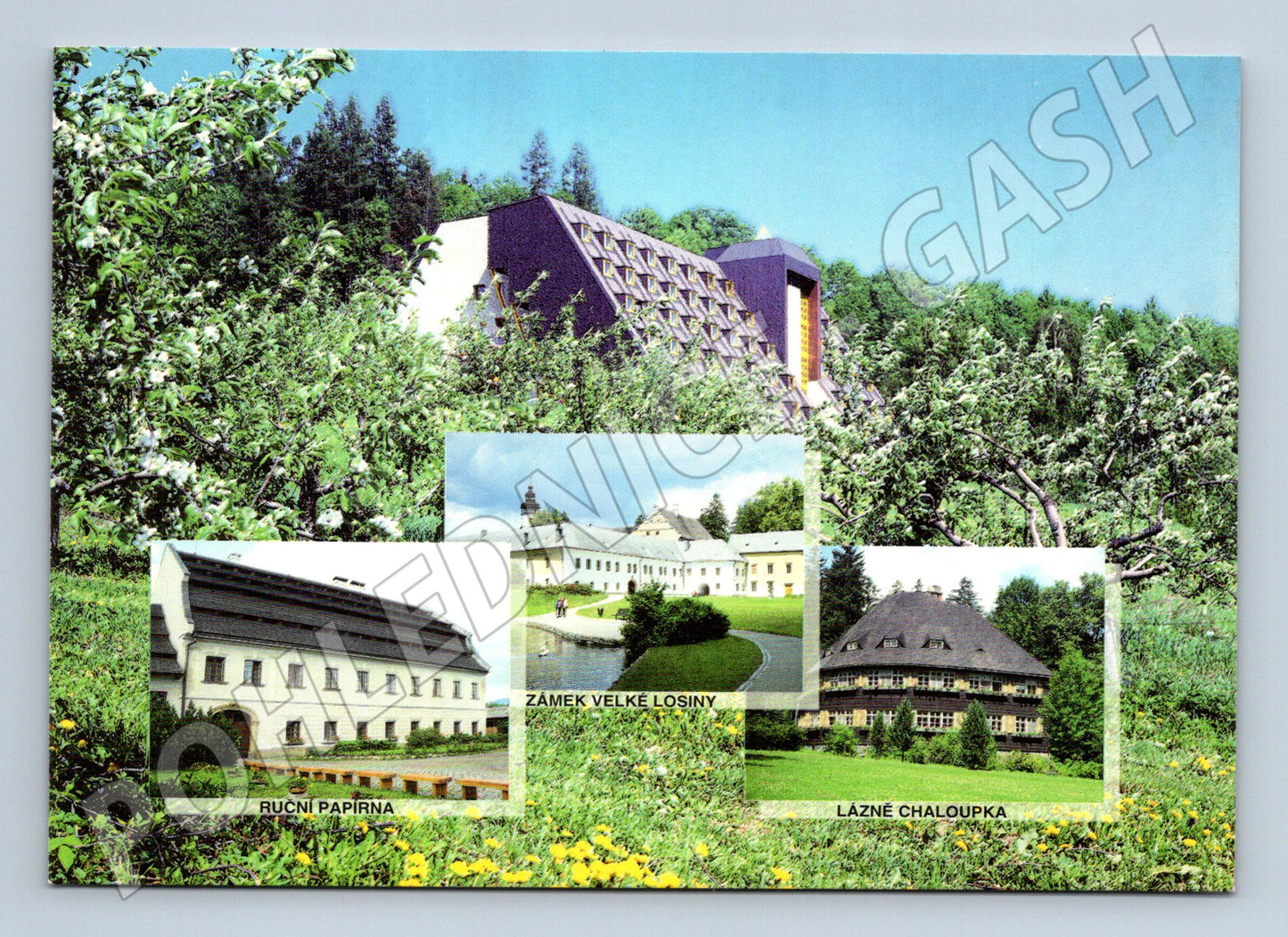 Postcard Velka Losiny hotel Diana (M4833)
