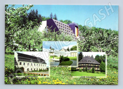 Postcard Velka Losiny hotel Diana (M4833)