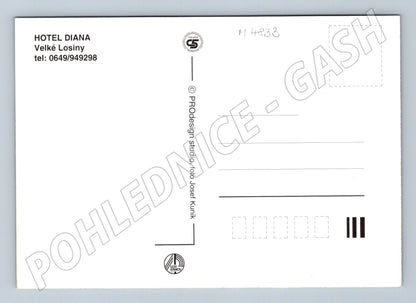 Postcard Velka Losiny hotel Diana (M4833)