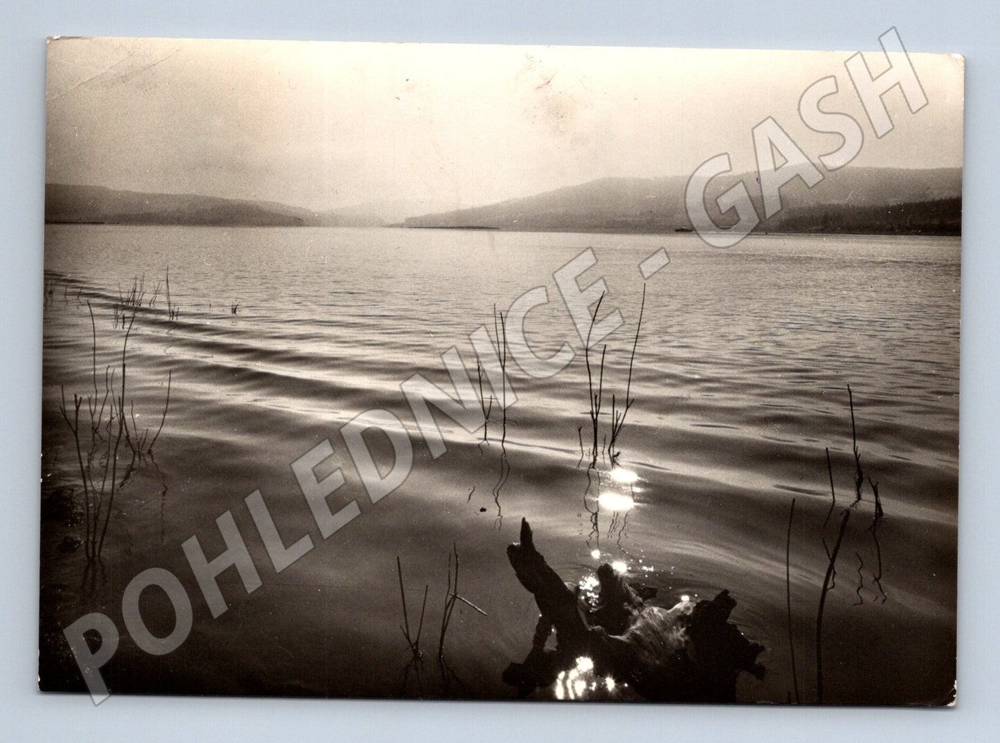 Postcard Šumava Frymburk summer morning (M4838)