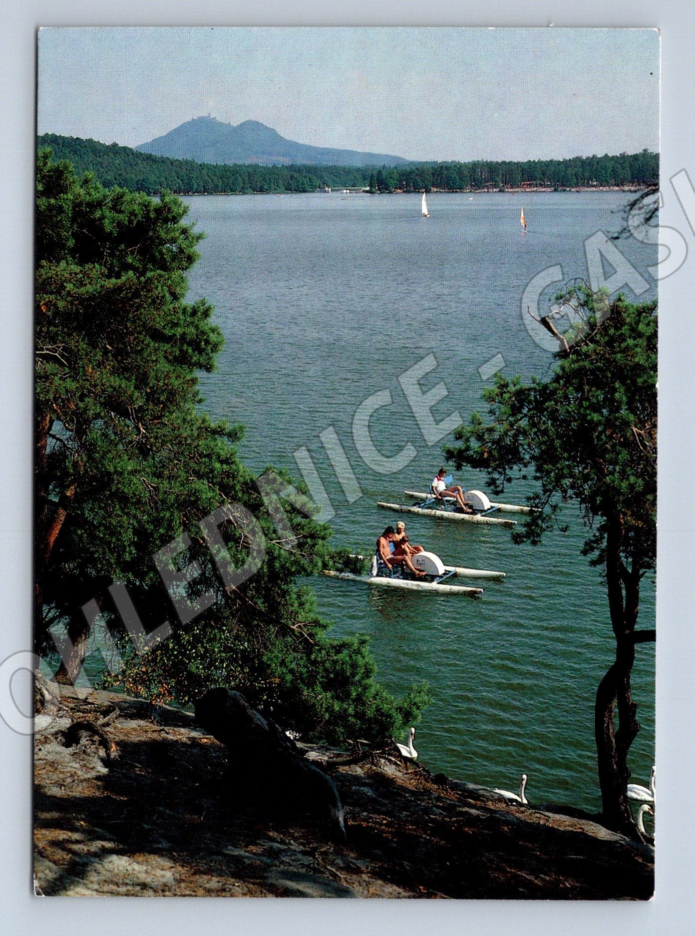 Postcard Mácha's Lake Pedal Boats Summer (M4847)