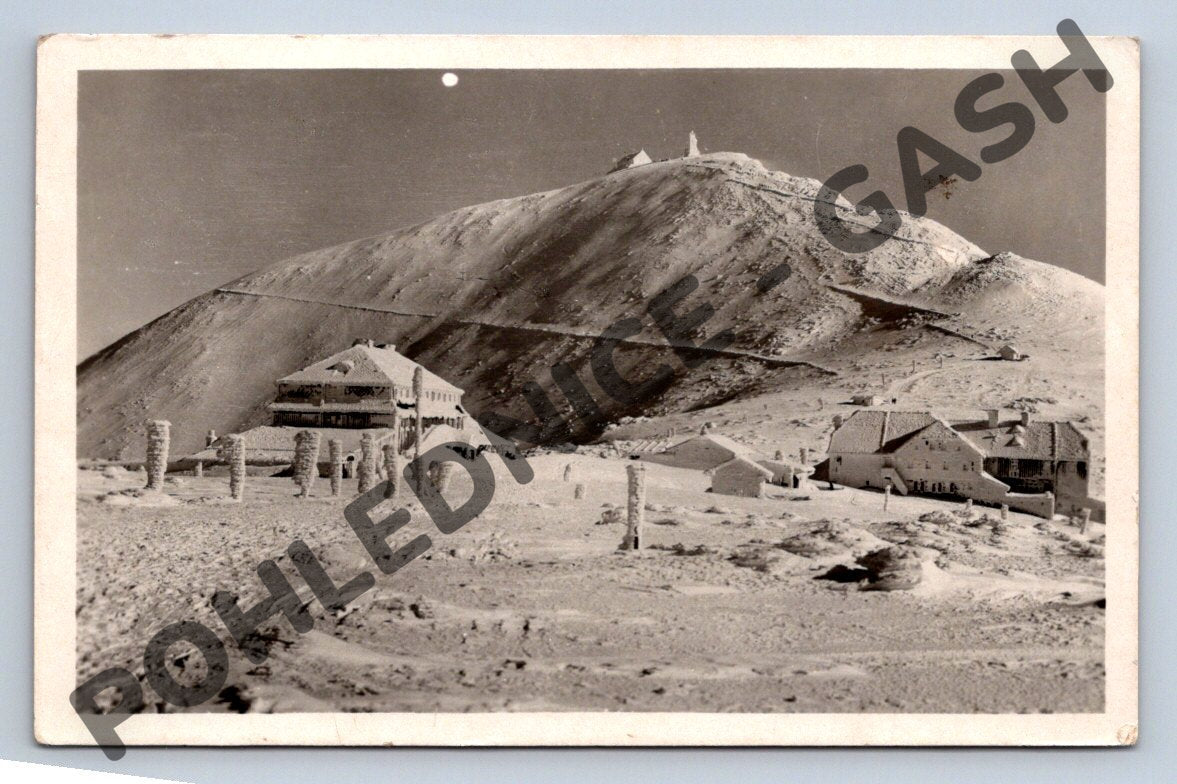 Pohlednice Krkonoše Sněžka 1603 m 1955 (M486)