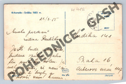 Pohlednice Krkonoše Sněžka 1603 m 1955 (M486)