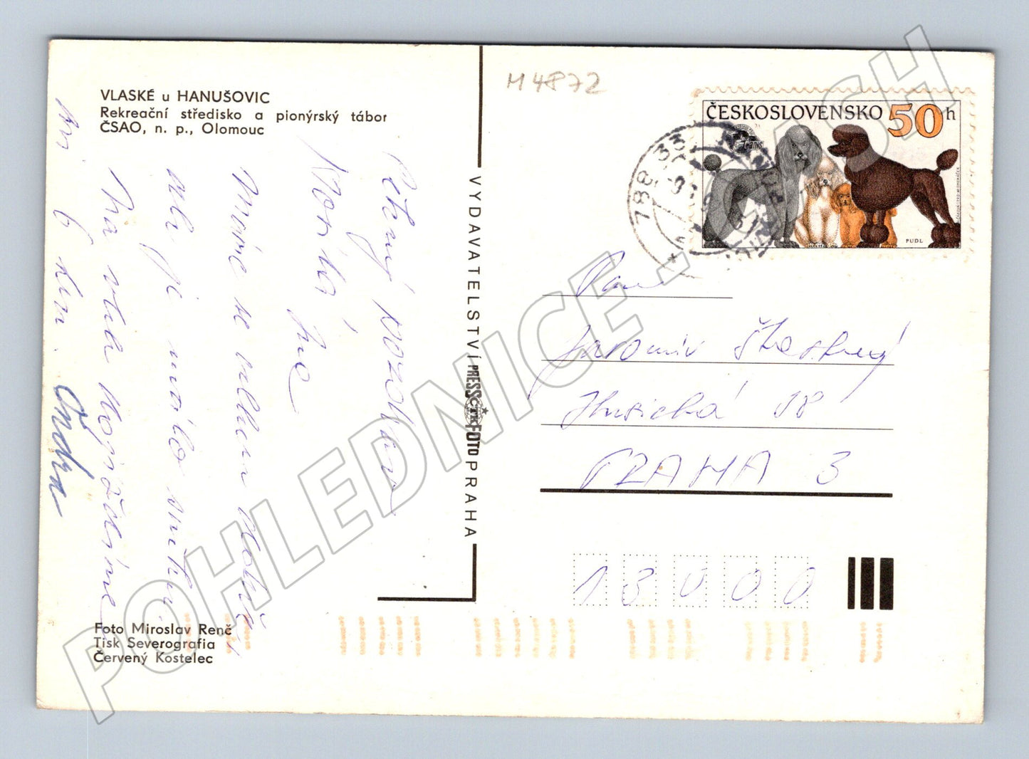Postcard Vlaske u Hanušovice pioneer camp (M4872)